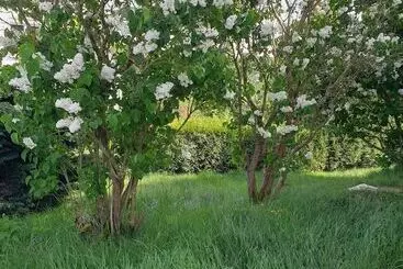 ペンション Au Domaine Cru