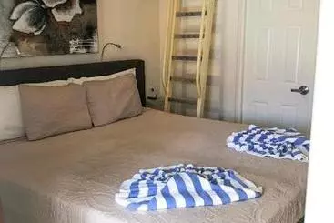 Boutique Hotel Swiss Paradise Aruba Villas And Suites