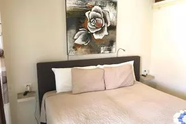 Boutique Hotel Swiss Paradise Aruba Villas And Suites