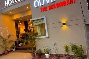 בית מלון כפרי Olive Inn, Haridwar