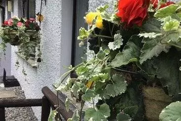 ベッドアンドブレックファースト Mere Lodge