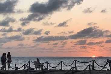 Mistica Island Hostel   Isla Palma