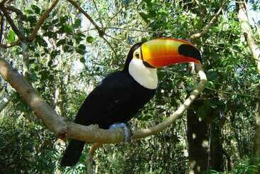 Отель Refúgio Da Lua