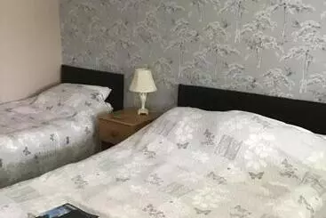 Bed and Breakfast The New Inn Motel