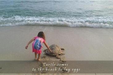 Trikora Beach Club & Resort