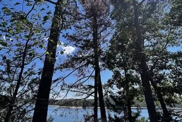 Lake View Two Bedroom, Two Bath Loft, Log Sided Cottage With Private Hot Tub Overlooking Lake Ouachi