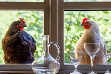 فندق Lindenhof Chezartistes