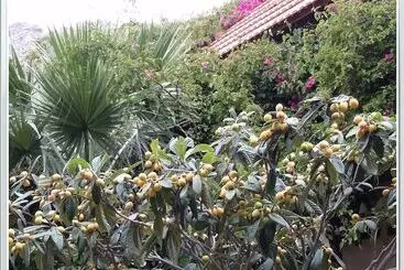 Stunning 2 Bedrooms Private Cottage In Palaiochora