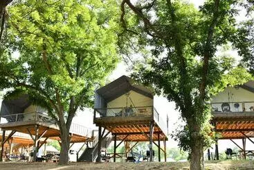 コテージ 8 Son S Rio Cibolo   Birdhouse Cabin