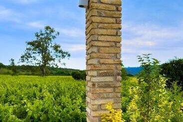 هتل آپارتمان Atrium Vinea