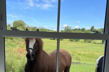 Gorgeous 2 Bed Cottage In Penderyn, Brecon Beacons