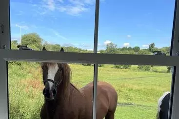 Gorgeous 2 Bed Cottage In Penderyn, Brecon Beacons
