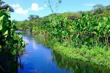 田舎風ホテル Fazenda Vila Flor
