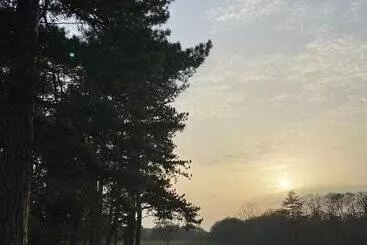 ペンション Thornton Manor Estates