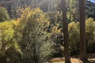 Quiet Mind Lodge, Retreat & Spa Sequoias