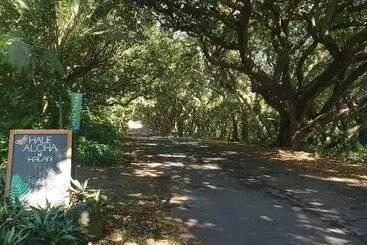 Mökkimajoitus Kalani Oceanside Retreat