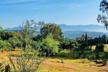 膳宿费 Masia Mimosa