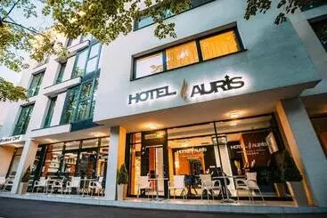 בית מלון כפרי Auris