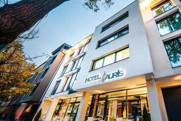 בית מלון כפרי Auris