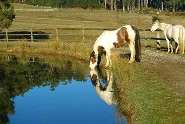 Otel Silver Ridge Retreat