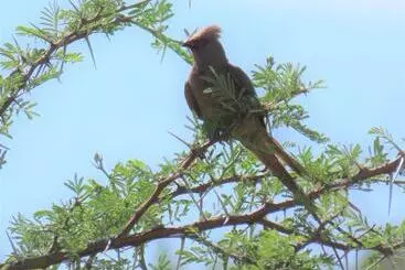 Mthembuskloof Country Lodge