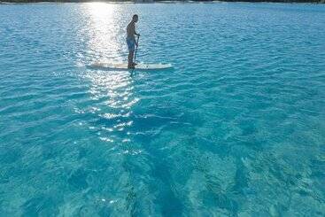 فندق صغير Evermore Orlando Resort