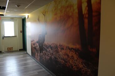 فندق Jefferson Inn