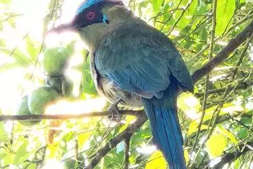 田舎風ホテル Hostería Brisas Del Río