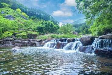 Hedong Alphs Dh Pension