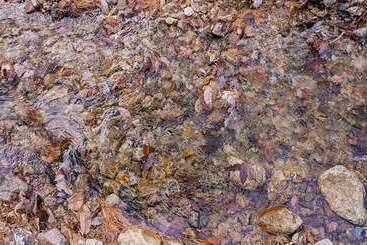 Inje Baekdam Rainbow Pension