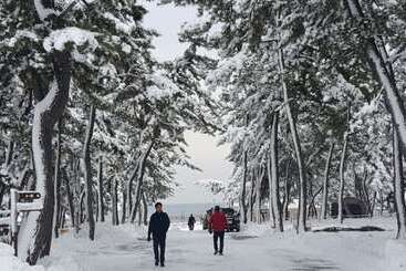 Gangneung Karis Pension