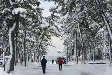 Gangneung Karis Pension