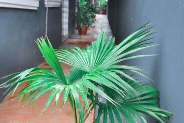 Pensionat Starexx Luxury Apartment