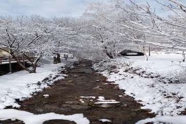 Hongcheon Bandi S Herb Pension