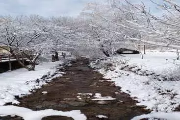 Hongcheon Bandi S Herb Pension