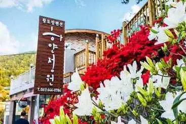 Yeosu Hayanjeongwon Pension