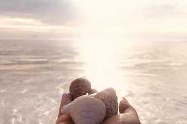 Kilimani Kwetu Beach