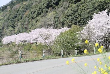 Ryokan Hitoyoshi Onsen  Kumamura