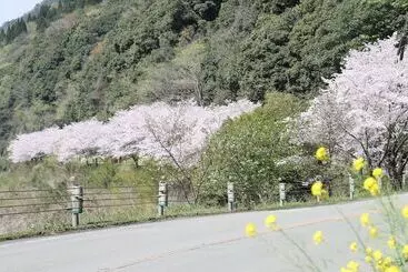 Ryokan Hitoyoshi Onsen  Kumamura