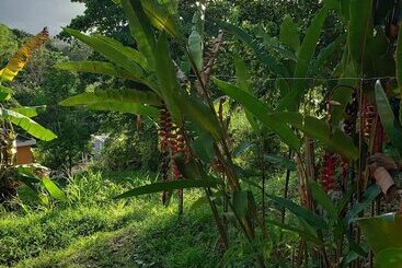 تختخواب و صبحانه Casa Clara Vista