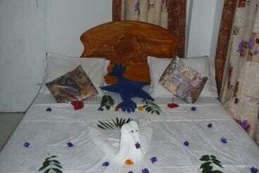 ベッドアンドブレックファースト Blow Hole View Home Stay