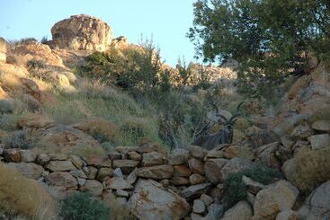 酒店 Klein Aus Vista Desert Horse Inn