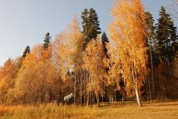 בית מלון כפרי Pansionat Parus