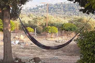 The Ranch Lodge & Equestrian Center