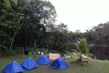 هاستل Jungle Reps