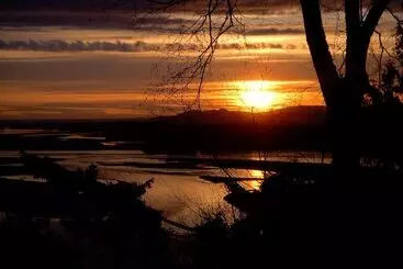 The Fraser River S Edge B&b Lodge