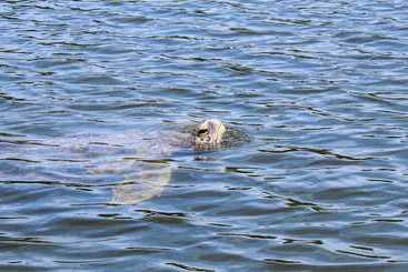 Hostal Mi Casa En La Playa Hostel