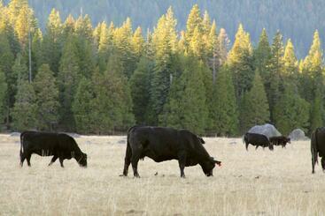 客栈 The Village At Highlands Ranch