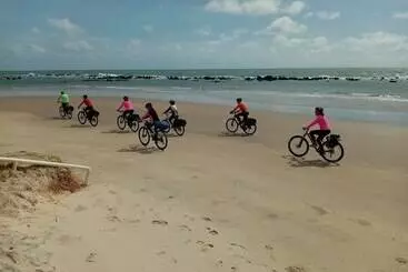 ホテル Pousada Ilha Verde