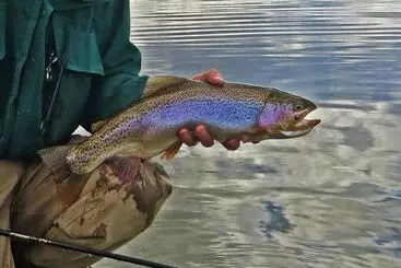 Majatalo Monster Lake Ranch